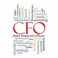 Virtual CFO – 21st century friend or foe?