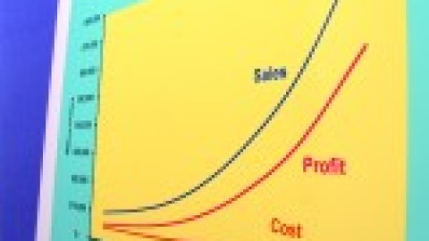 5 Practical Tips to Increase Your Margins