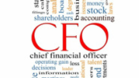 Virtual CFO – 21st century friend or foe?