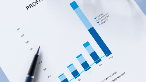 Master How to Read a Profit and Loss Report